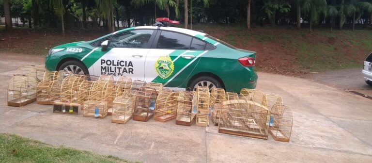 Preso e multado com 45 aves nativas em cativeiro