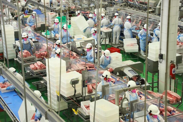 Produção de carnes no Paraná tem ano de recordes em 2020
