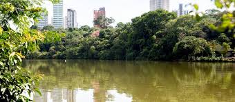 Seca no lago do Parque do Ingá será debatida na Câmara Municipal