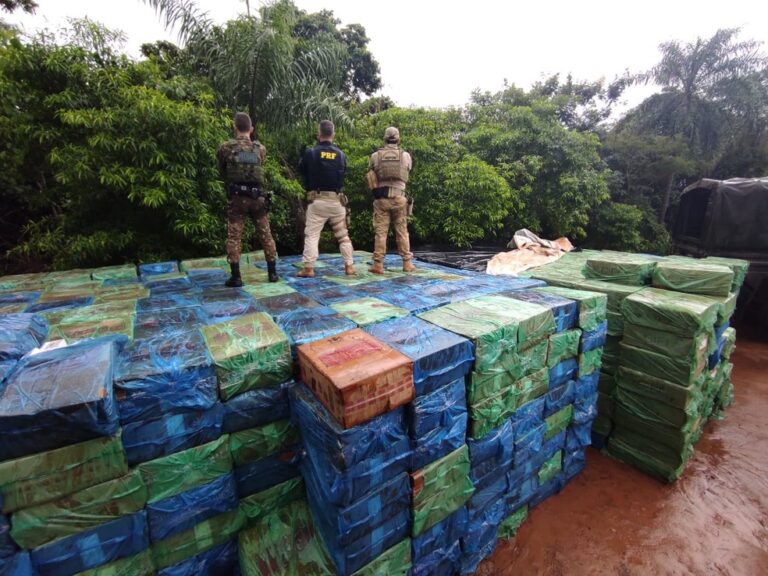 PRF encontra 750 mil maços de cigarro escondidos no mato