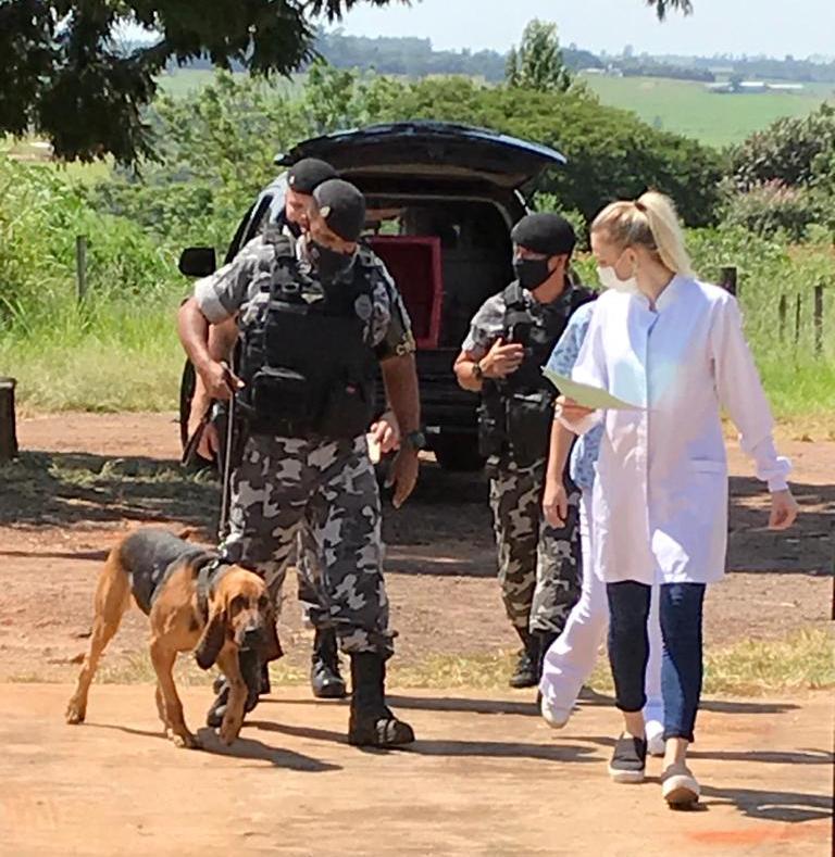 UEM passa a atender cães da Polícia Militar do Paraná