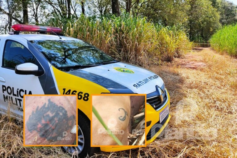 IML identifica homem encontrado morto com pés e mãos amarrados