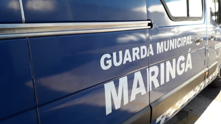 Guarda Civil Municipal atendeu mais de 19,3 mil ocorrências este ano