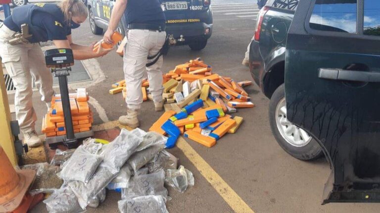 Tio e sobrinha presos com mais de meia tonelada de droga