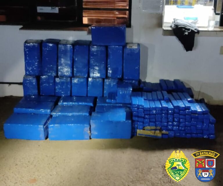 PM apreende mais de meia tonelada de maconha
