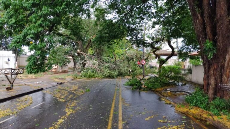 Defesa Civil e Semob finalizam atendimentos após chuva intensa