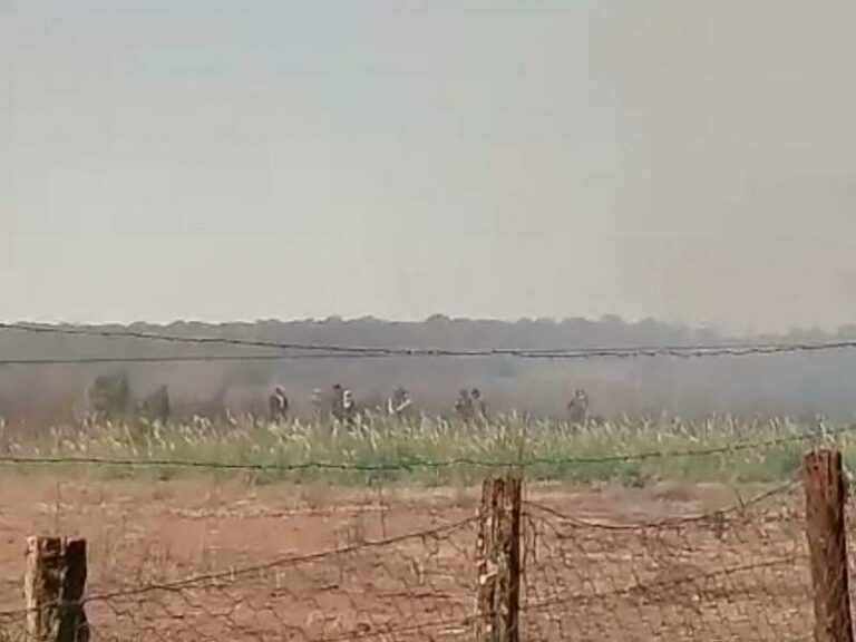 Invade fazenda e é atacado por cães de guarda