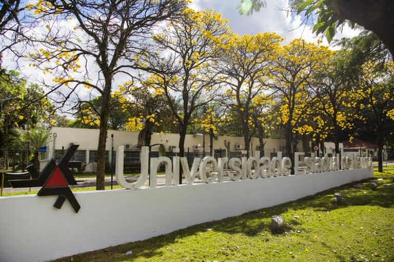 Pesquisadores da UEM analisam relação entre diagnóstico da dengue e da Covid