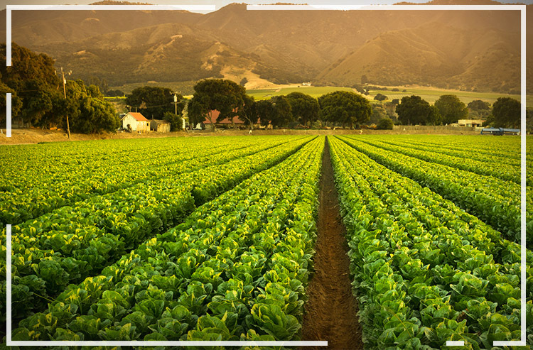 Empório da Agricultura Familiar terá função social em Maringá