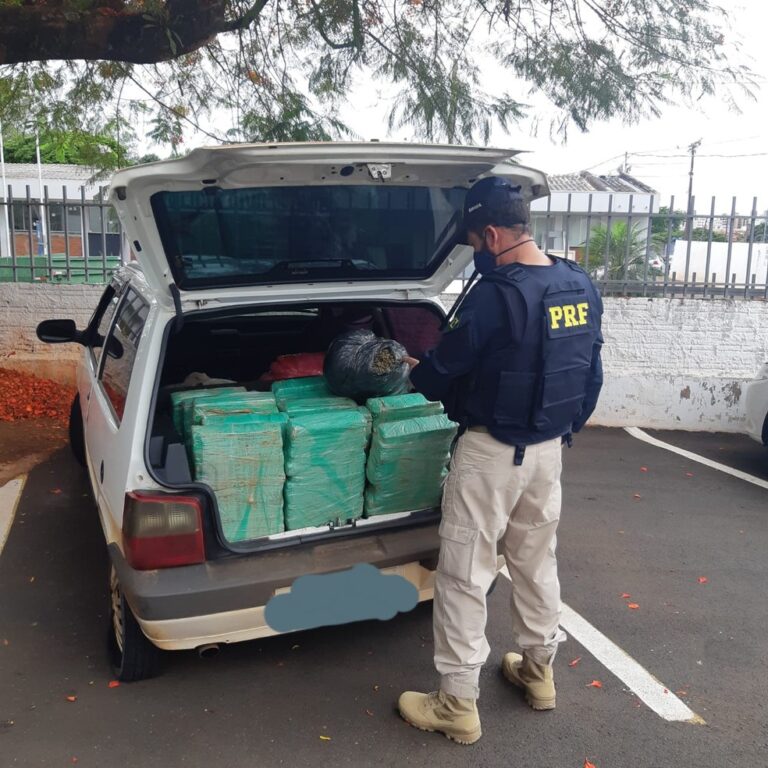 PRF tira de circulação em Maringá mais de 300 kg de maconha
