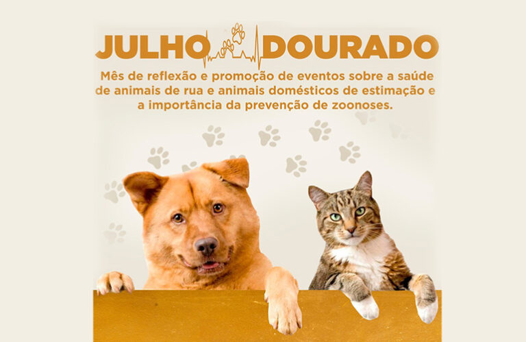 Julho Dourado é o mês dedicado a promoção da saúde animal