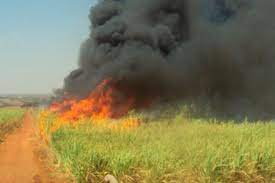 Incêndio destrói plantação e maquinários e preocupa agricultores da região