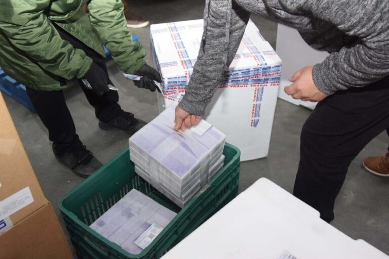 Paraná recebe mais 209,1 mil doses