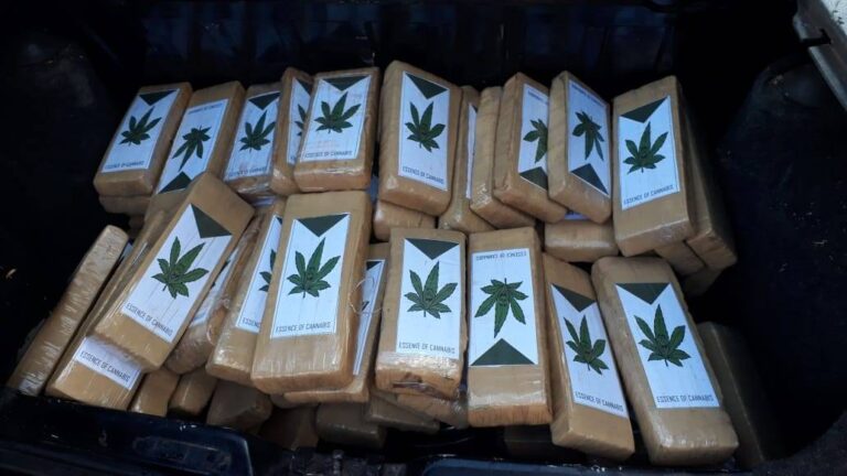 Atuação conjunta das polícias aumenta a apreensão de drogas no Paraná