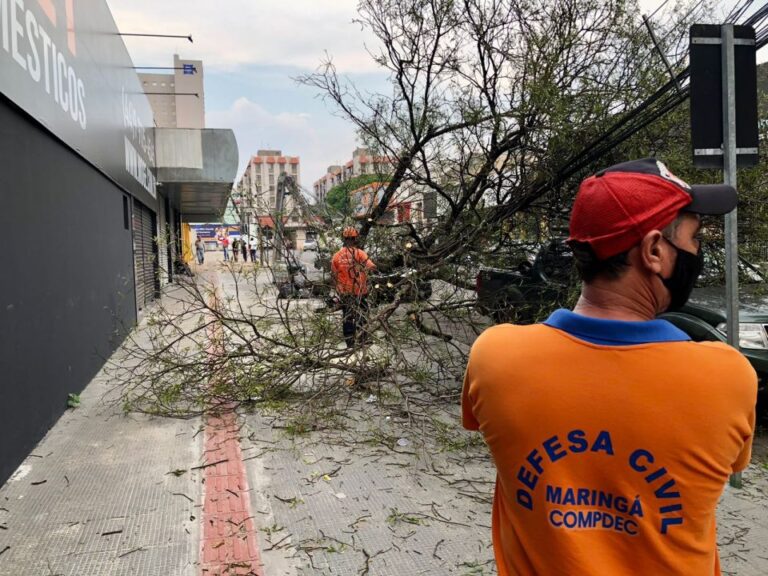 Prefeitura faz força-tarefa para minimizar impactos da ventania