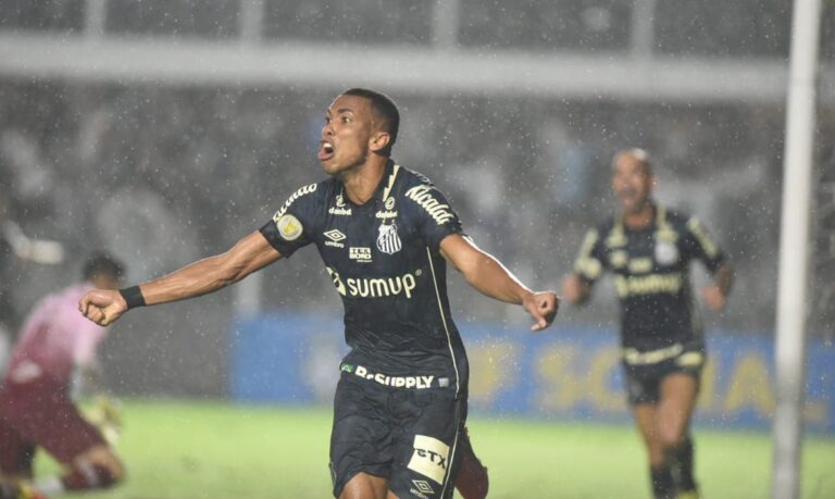 Santos derrota Fluminense e sai do Z4