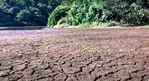 Poços artesianos no entorno podem ser causa de seca no Parque do Ingá