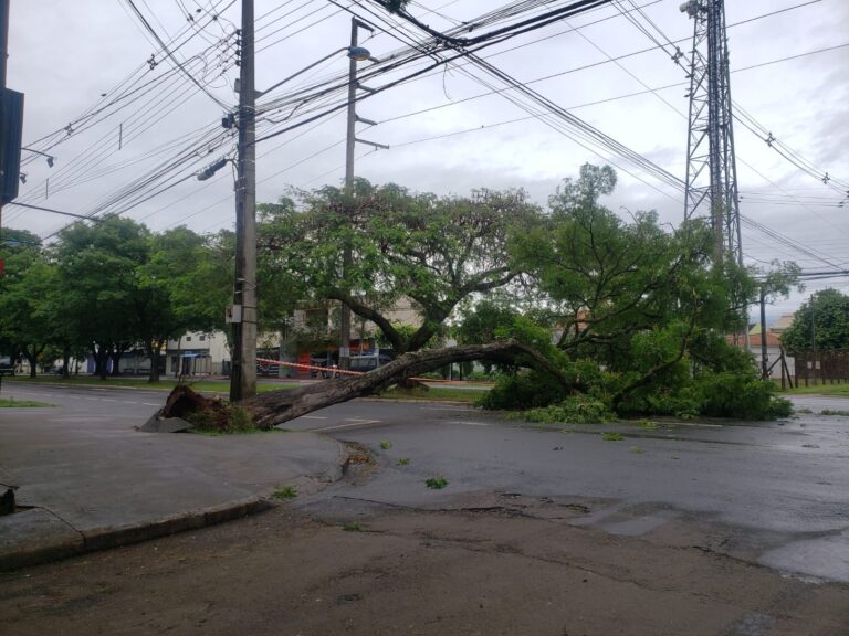 Temporal volta a causar estragos na rede elétrica