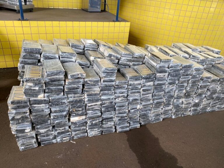 PRF impõe quase R$ 200 milhões de prejuízo ao tráfico e faz a maior apreensão de cocaína do PR