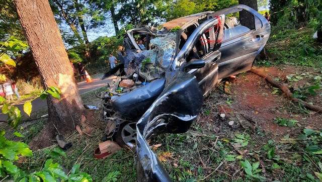 Jovem bate carro em uma árvore e morre no local