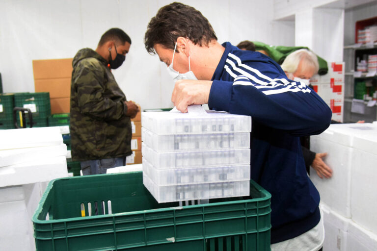 Paraná recebe mais 450,4 mil vacinas contra a Covid-19