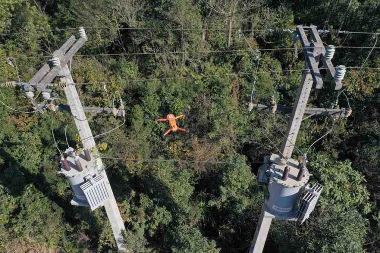 Linhas de alta tensão que atravessam Maringá serão inspecionadas