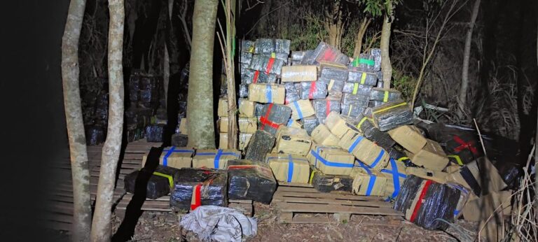 PC prende 5 em uma das maiores apreensões de maconha do Paraná