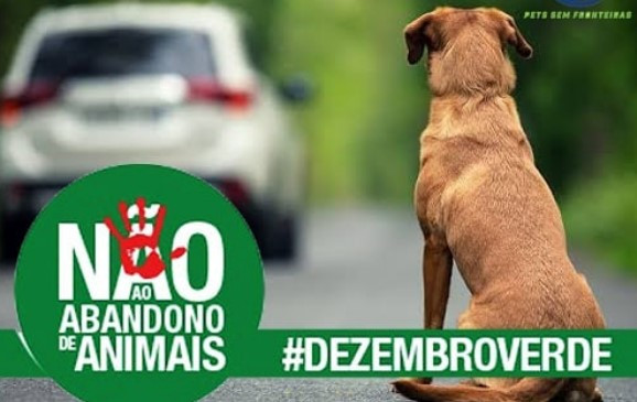 Feira de Adoção e Árvore da Esperança são ações do Dezembro Verde