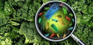 Serviço de Inspeção alerta para o perigo de intoxicação por alimentos