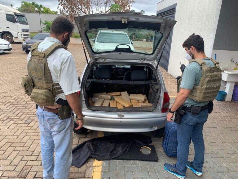 Ação integrada de polícias apreende drogas na PR-323