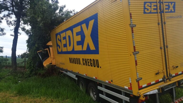 Motorista perde a vida ao bater furgão do Sedex em árvore