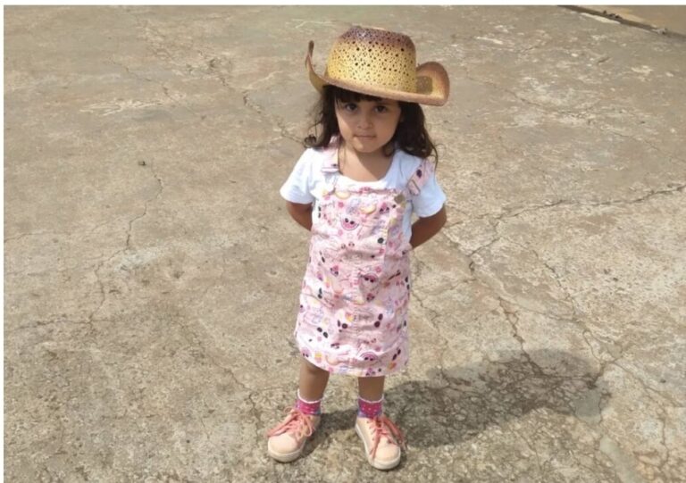 Menina de 3 anos morre afogada em piscina de chácara