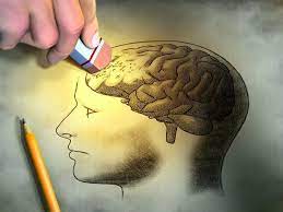 Amnestia