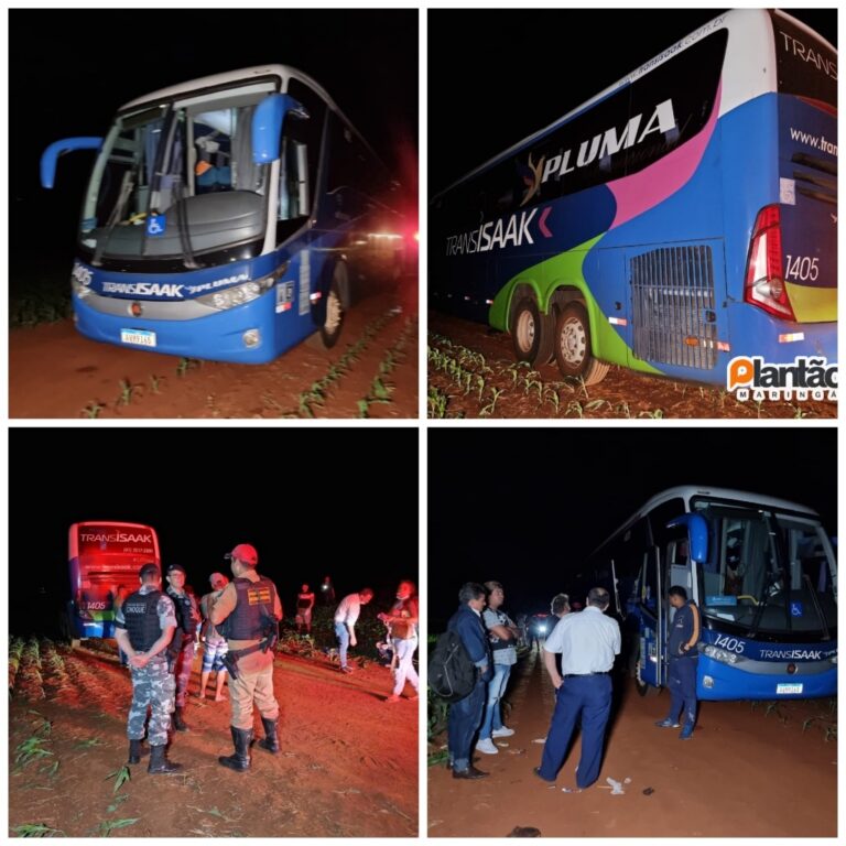 Passageiros vivem momentos de terror com quadrilha do asfalto