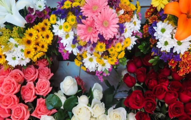 Feira das Flores será realizada todos os domingos