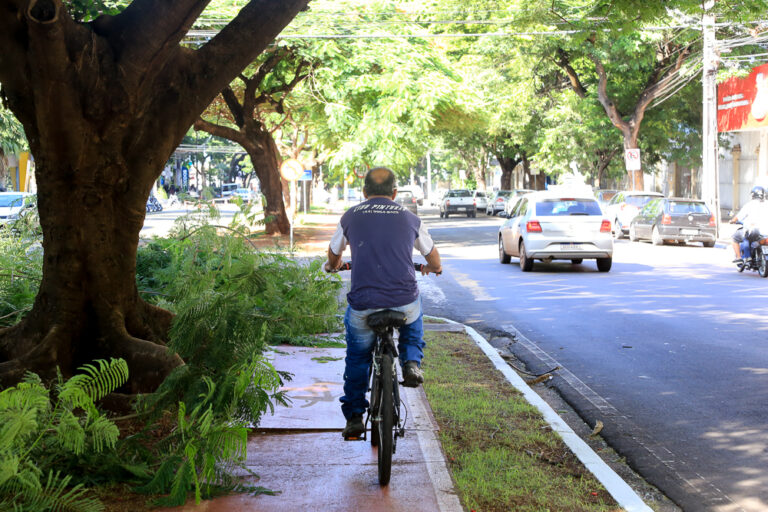 Secretaria realiza poda de galhos de árvores que estão em ciclovias