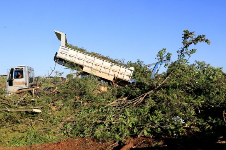 Equipes recolhem mais de 600 toneladas de galhos e tocos das ruas