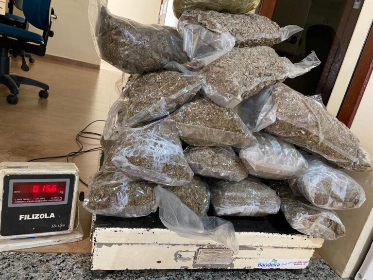 Polícia apreende drogas despachadas via transportadora