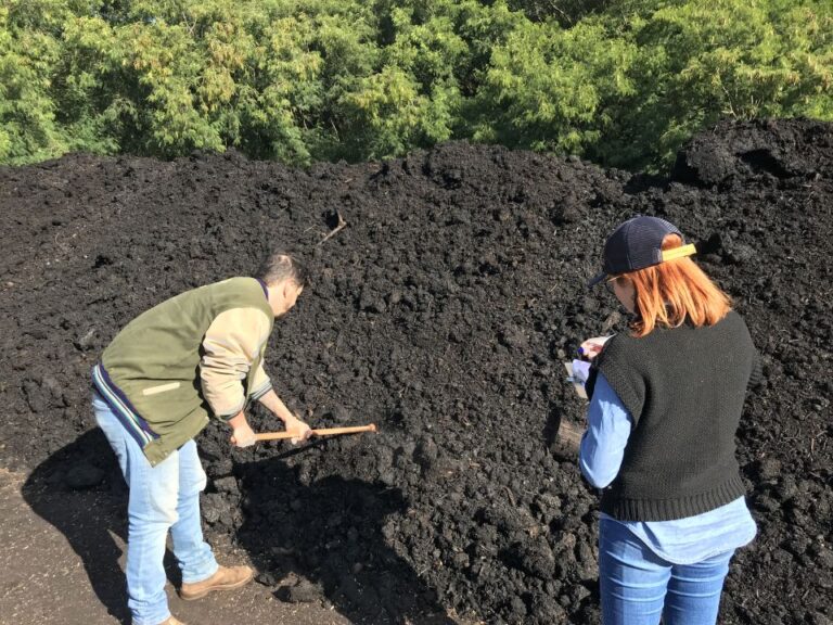 Hortas comunitárias recebem composto feito de galhos e folhas de árvores