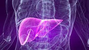 Caso suspeito de hepatite misteriosa é investigado em Maringá
