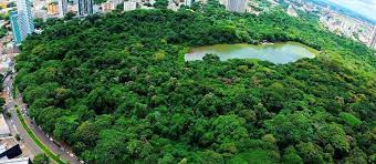 Poços de infiltração serão instalados no entorno do Parque do Ingá