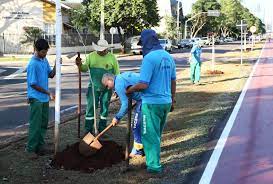 Limpeza Urbana vai plantar 500 árvores
