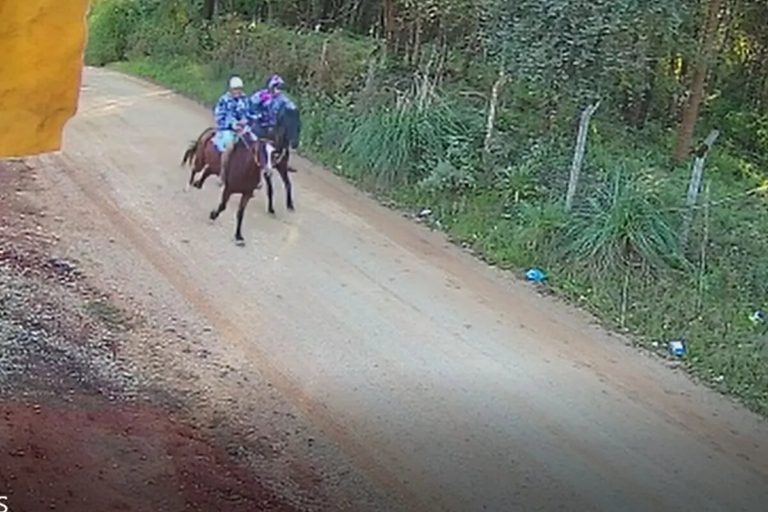 Bandidos usam cavalos para assaltar