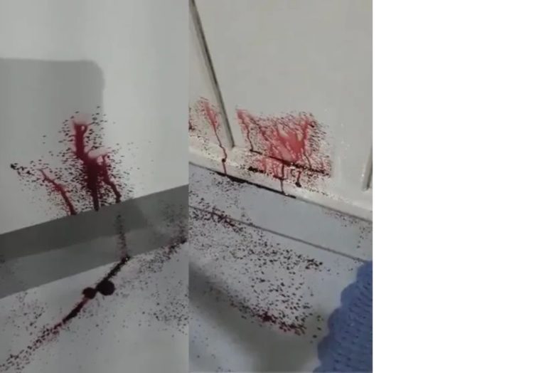 Casa que jorra sangue das paredes assusta moradores de Cambé