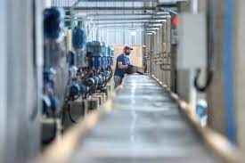 Paraná fecha o primeiro semestre com 90 mil empregos gerados com carteira assinada