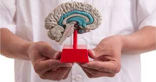 1.096 crianças aguardam consultas com neurologistas, aponta Conselho Tutelar