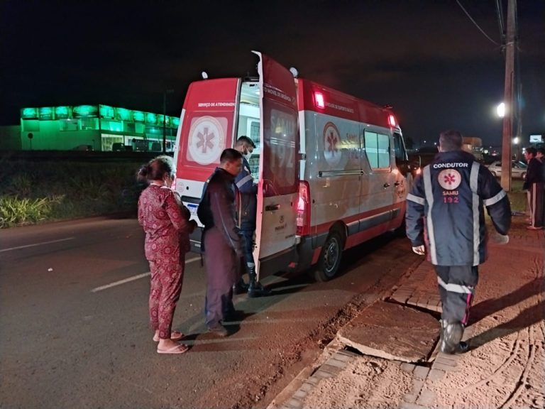 Animal solto causa acidente grave na rodovia
