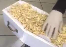 Pais de bebê que nasceu morto recebem caixão com serragem