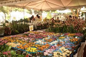 Expoflor bate recorde e arrecada mais de R$ 103 mil para entidades