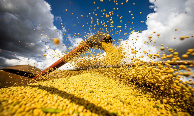 Concurso avaliará produtividade de colheita de soja na região